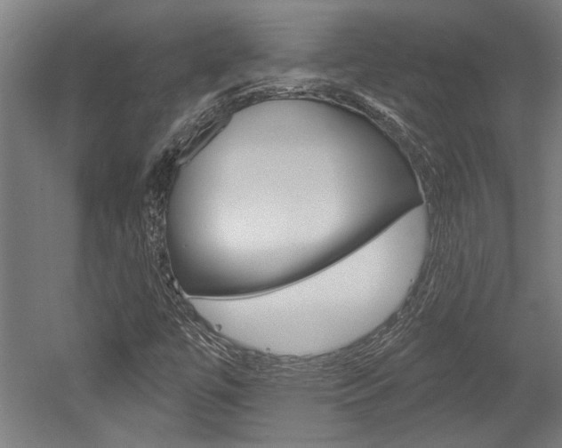 X0000052541447200507010806