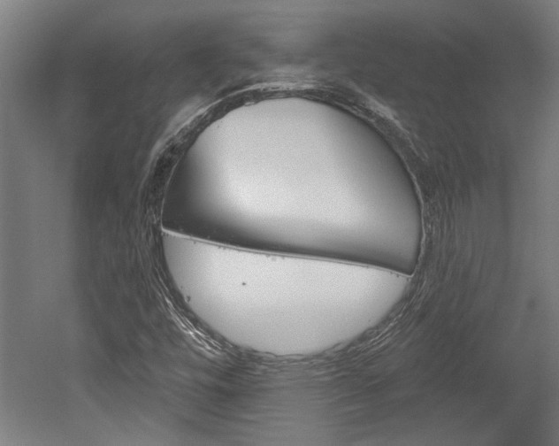 X0000052541448200507010806