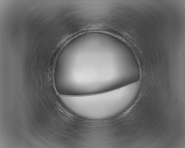 X0000052541449200507010806