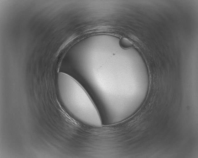 X0000052541450200507010806