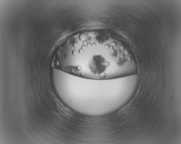 X0000052541451200507010806