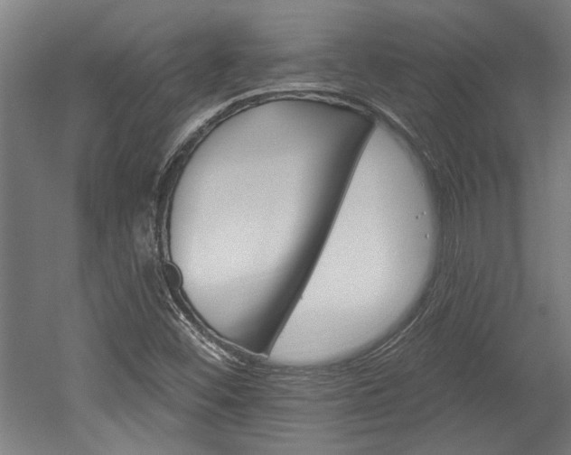 X0000052541452200507010806