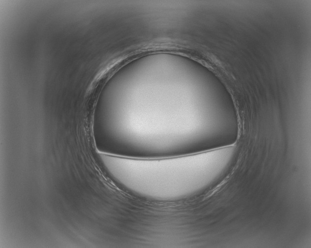 X0000052541453200507010806