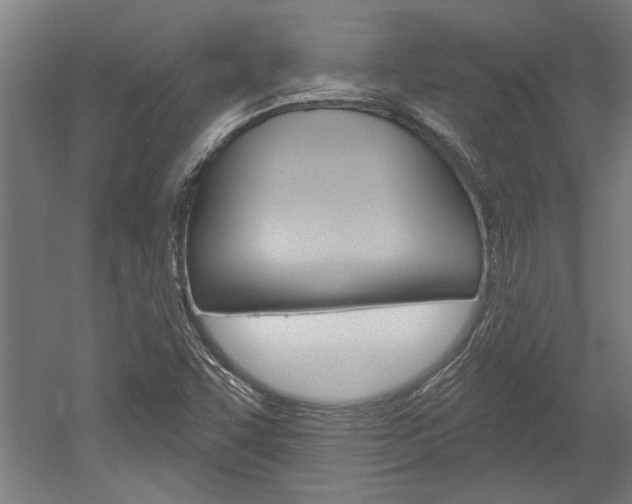 X0000052541455200507010806