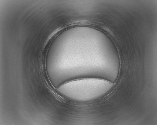 X0000052541458200507010806