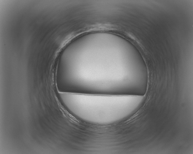 X0000052541459200507010806