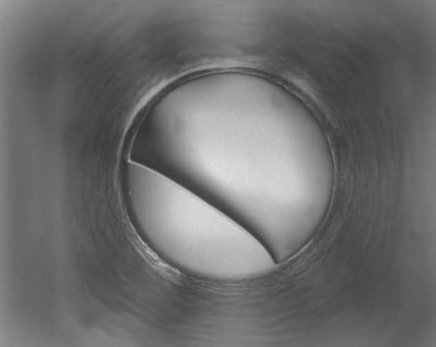 X0000052541460200507010806