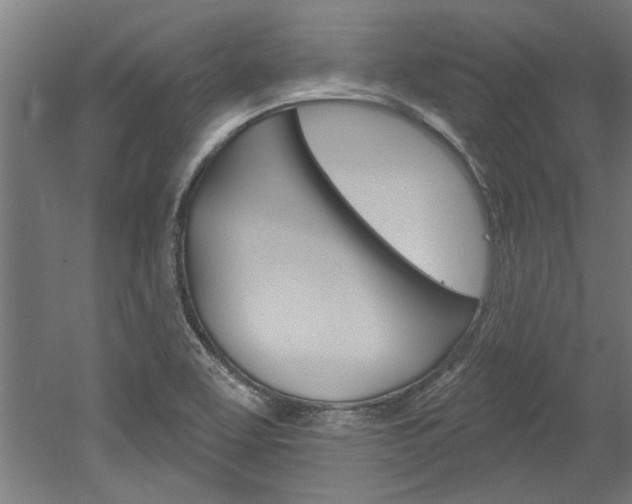 X0000052541463200507010806