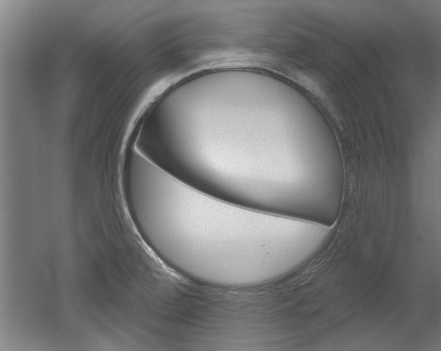 X0000052541472200507010806