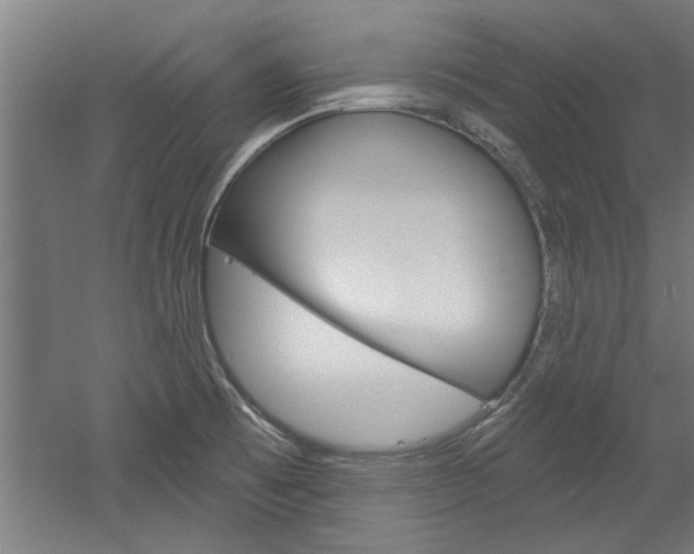 X0000052541473200507010806
