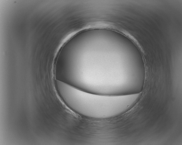X0000052541477200507010806