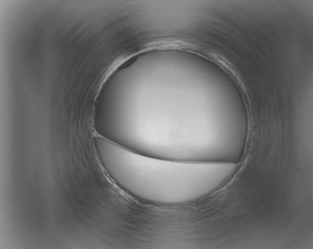 X0000052541481200507010806