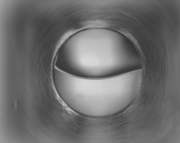 X0000052541488200507010806