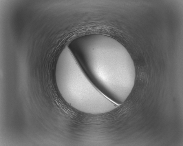 X0000052541489200507010805