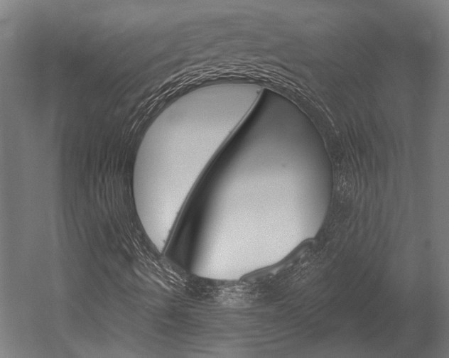 X0000052541490200507010805