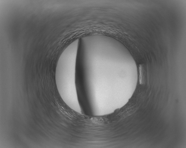 X0000052541491200507010805