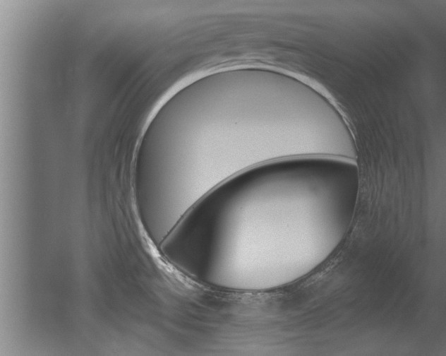 X0000052541534200507010806