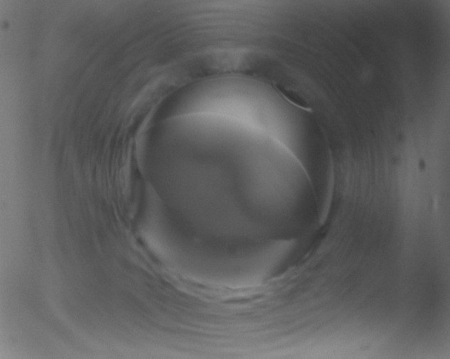 X0000052540035200507011116