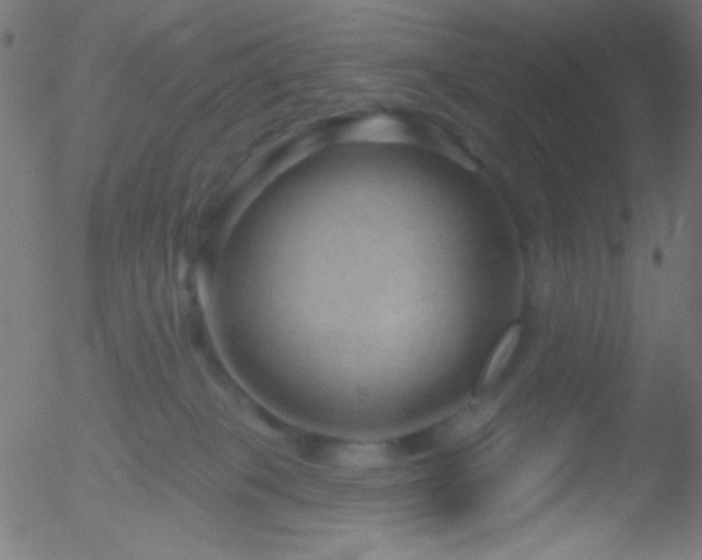 X0000052540085200507011116
