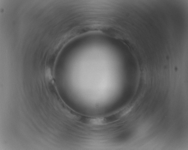 X0000052540089200507011116