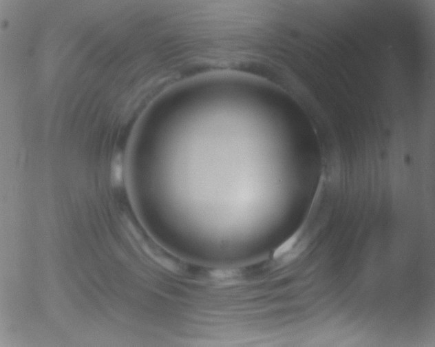 X0000052540095200507011116