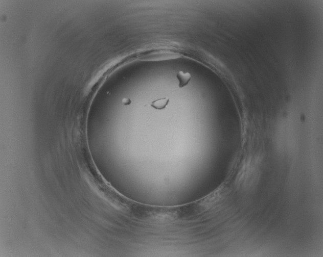 X0000052540155200507011114