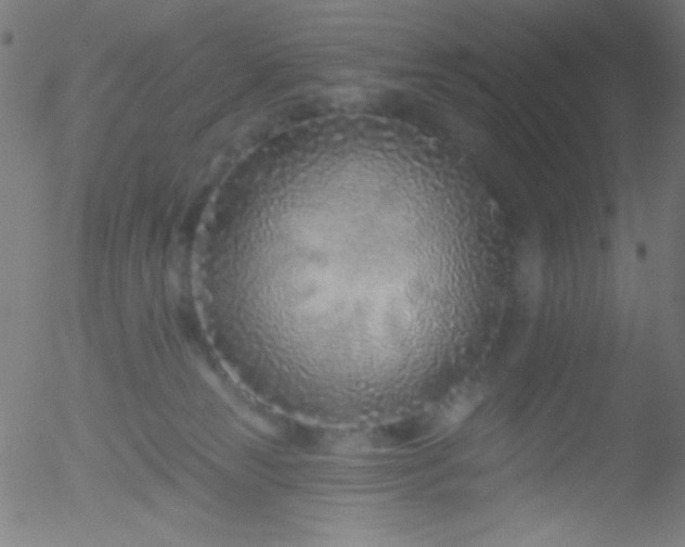 X0000052540181200507011114