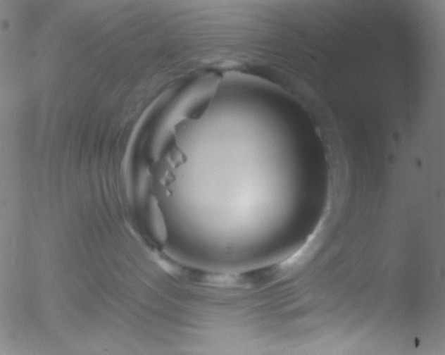 X0000052540192200507011114