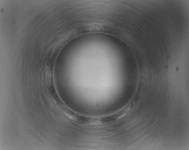 X0000052540228200507011113