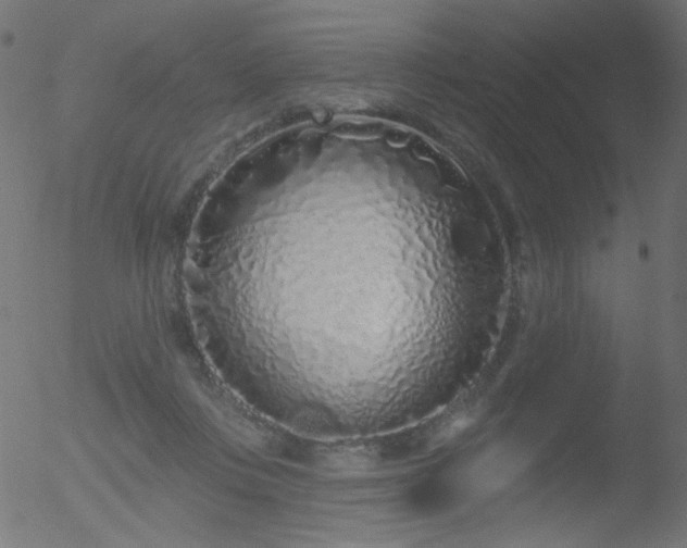 X0000052540359200507011111