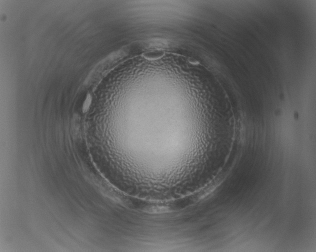 X0000052540361200507011111