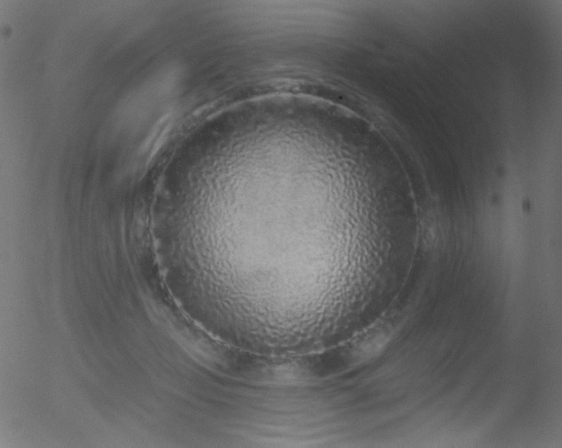 X0000052540365200507011111