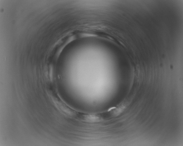 X0000052540380200507011111