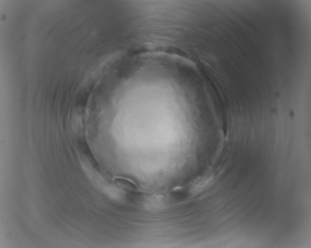 X0000052540527200507011108