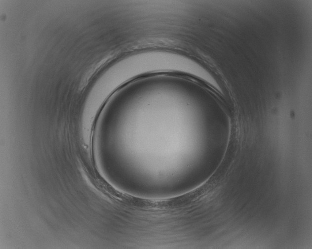 X0000052540538200507011107
