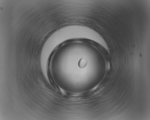 X0000052540556200507011108