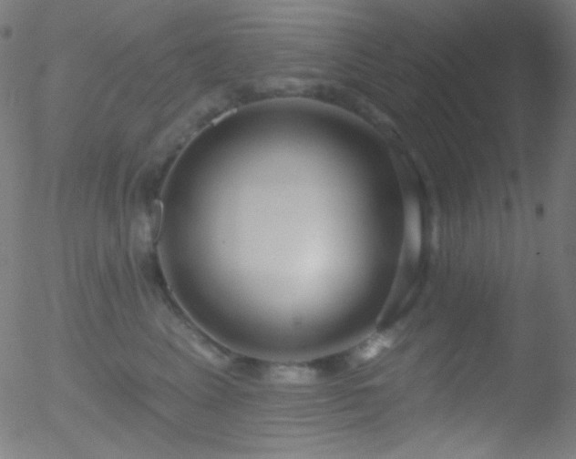 X0000052540617200507011107