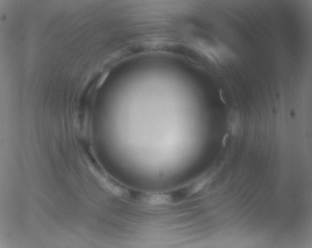 X0000052540670200507011106
