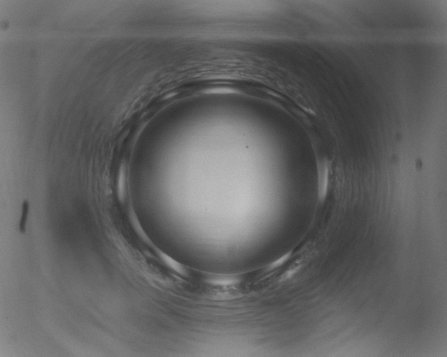X0000052540750200507011105