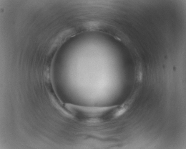 X0000052540766200507011105