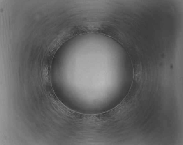 X0000052540866200507011103