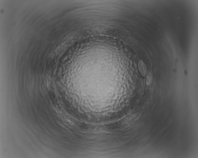 X0000052541011200507011059