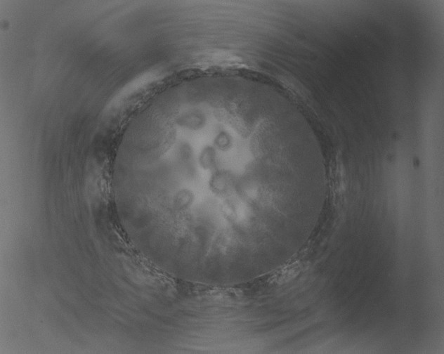 X0000052541063200507011059