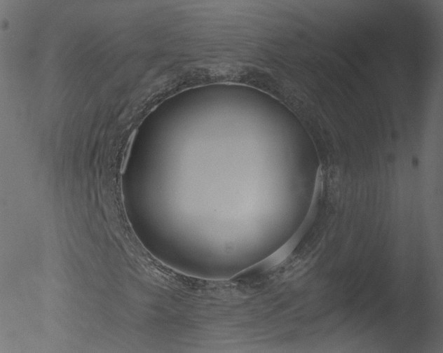 X0000052541249200507011056