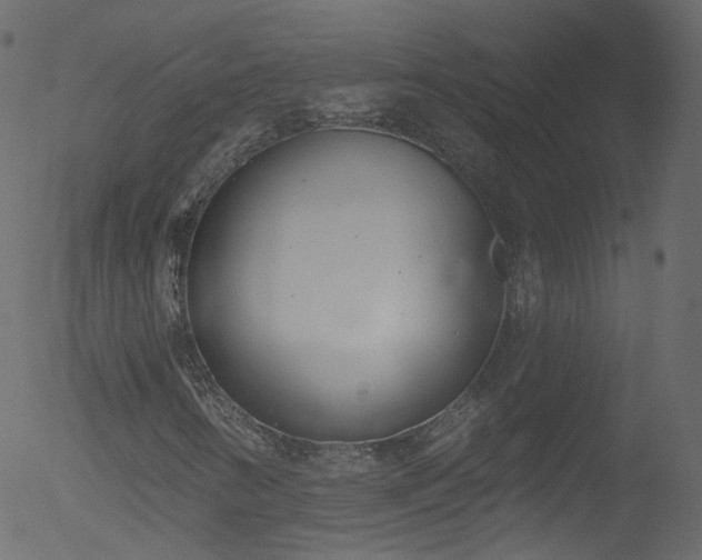 X0000052541346200507011055