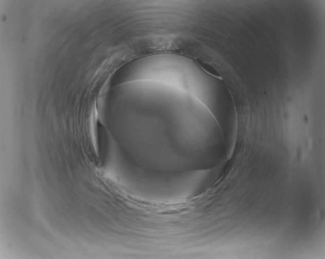 X0000052540035200507081342