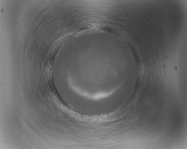 X0000052540043200507081342
