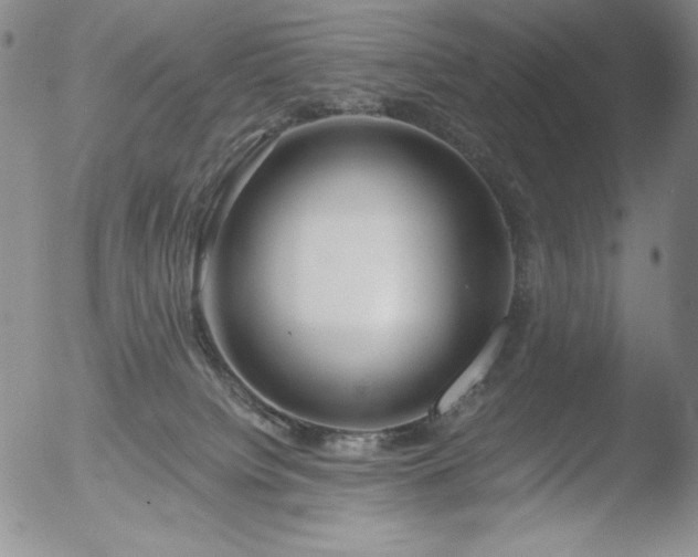 X0000052540084200507081341