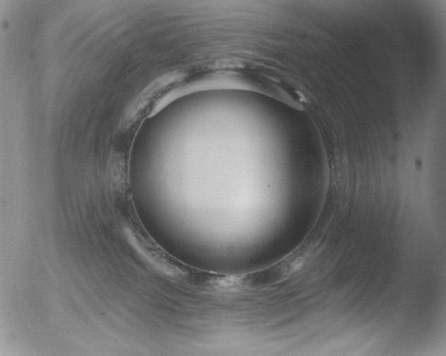 X0000052540092200507081341
