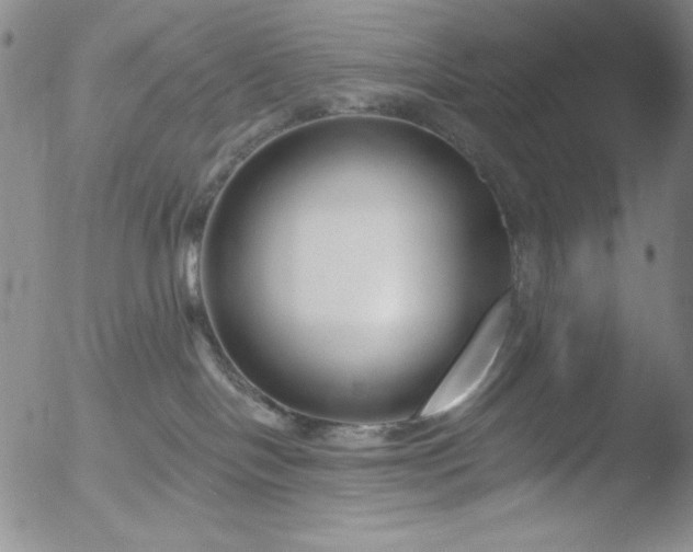 X0000052540094200507081341